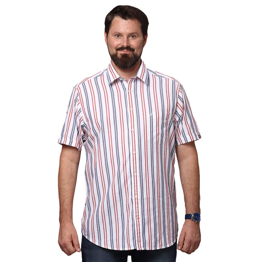 Big & Bold Stripes Multi Full Sleeves Slim Fit Casual Shirts (Plus Size)